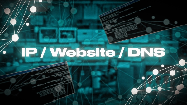 IP / Website / DNS
